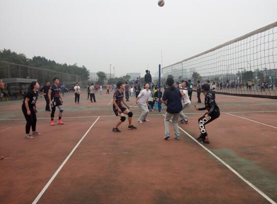 QQ鎴浘20161128171858.jpg QQ鎴浘20161128171858.jpg