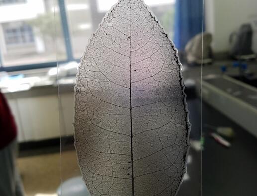 QQ鎴浘20161110154528.jpg QQ鎴浘20161110154528.jpg